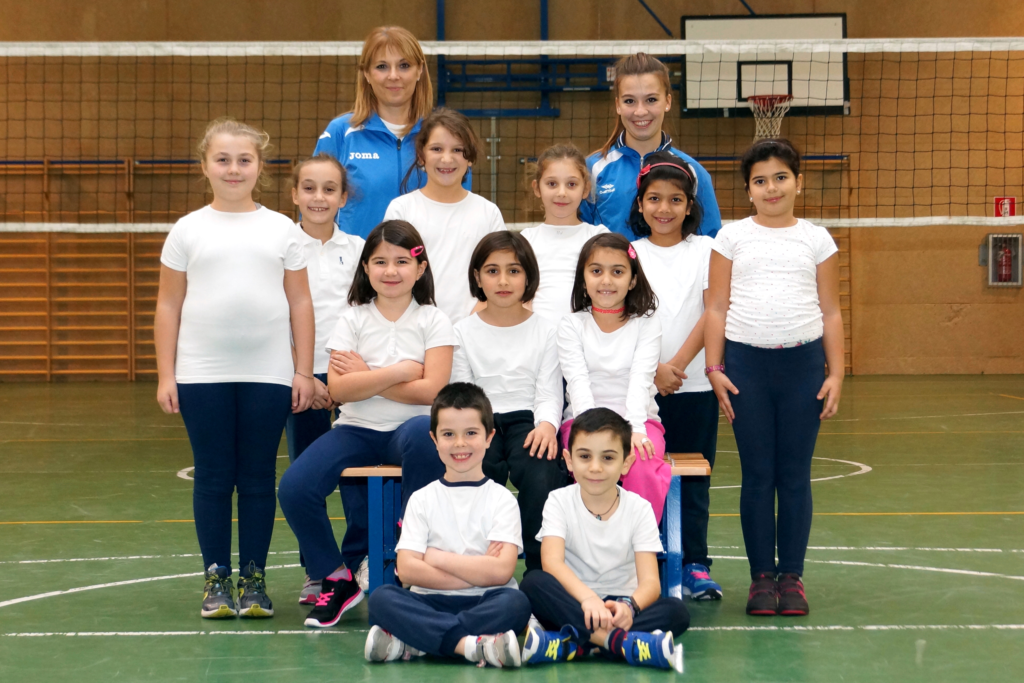 minivolley