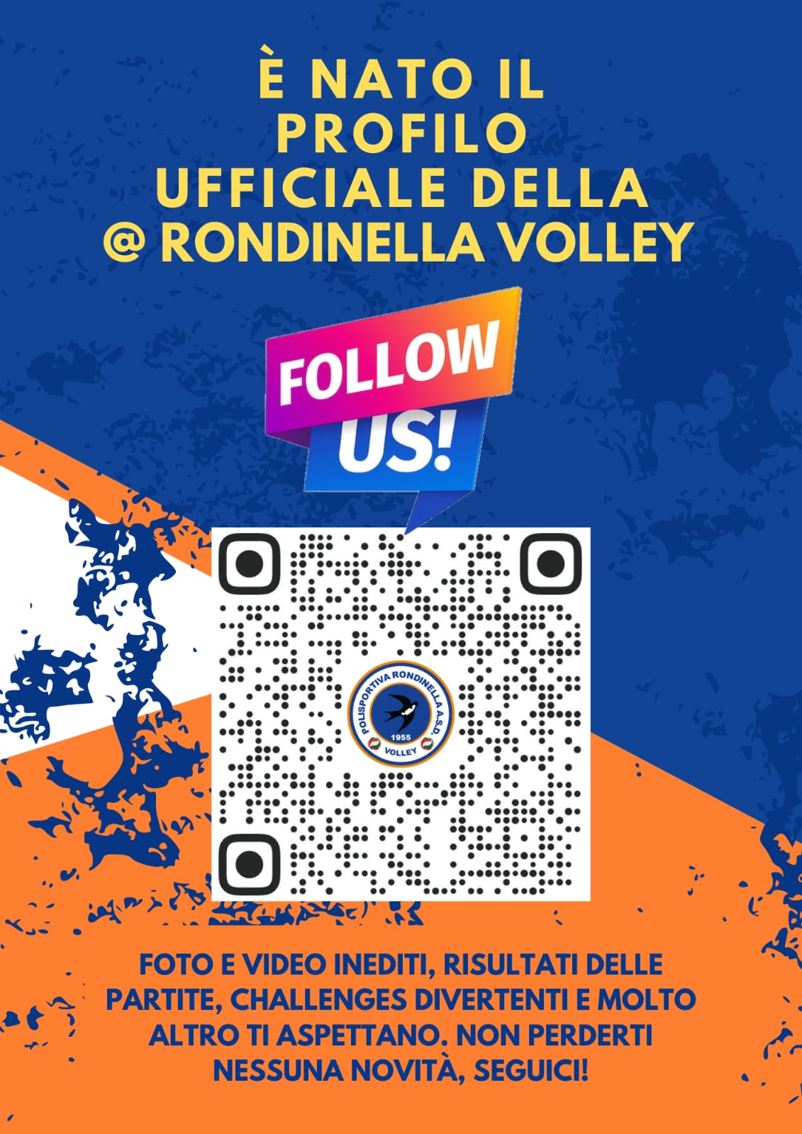 ProfiloRondinellaVolley